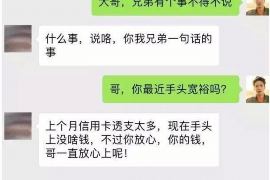 平顶山债务清欠服务
