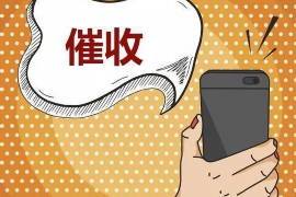 平顶山融资清欠服务