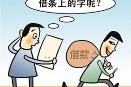 平顶山工资清欠服务